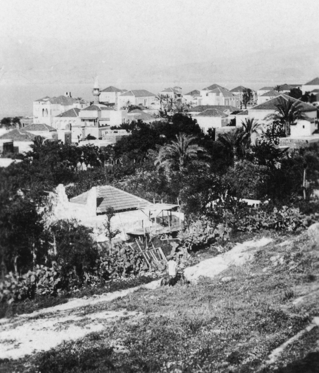 بيروت من الكلية الأمريكية ، لبنان ، 1927 - 1931. بواسطة كافاندرز المحدودة