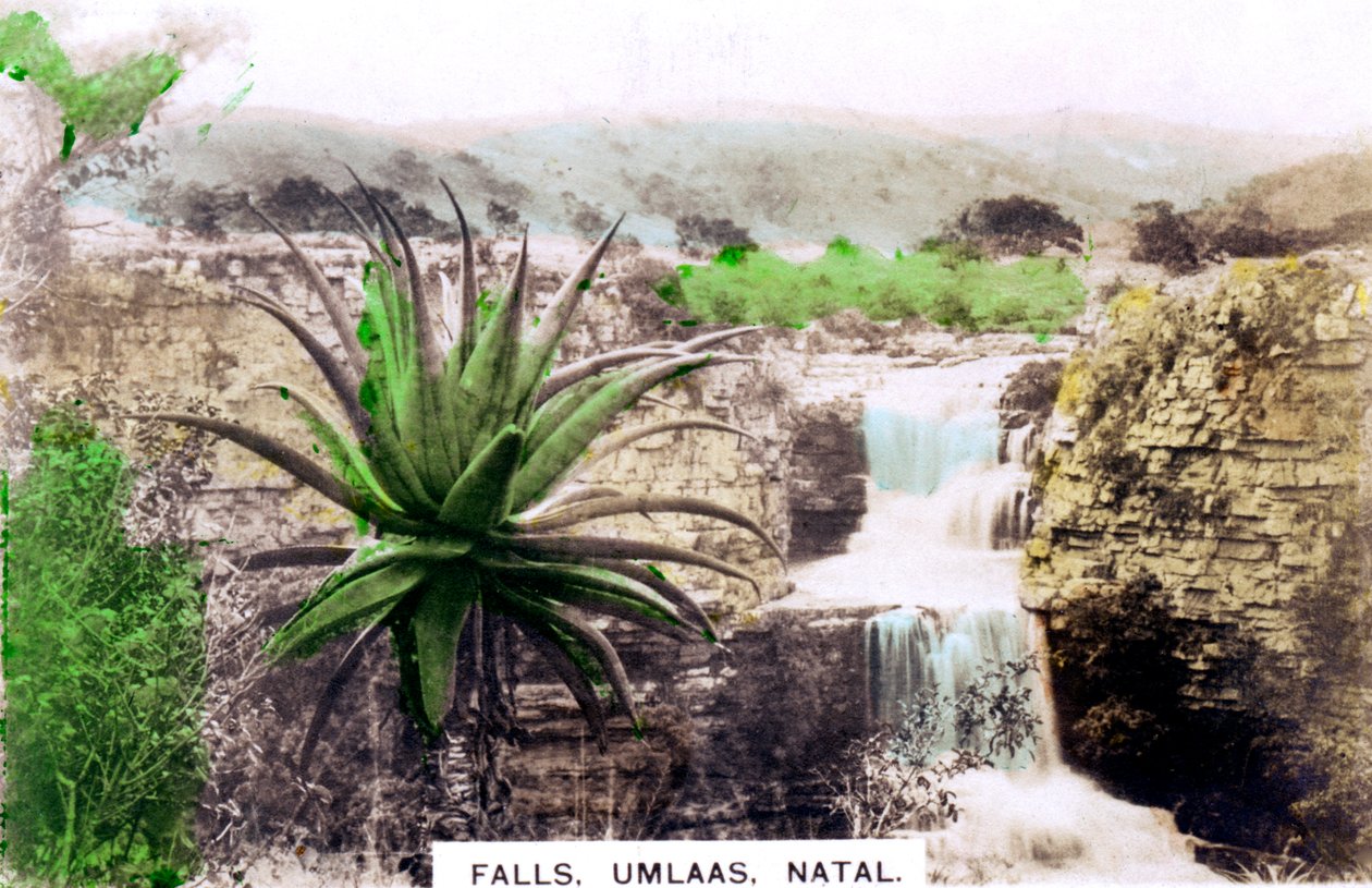 شلالات Umlaas ، جنوب أفريقيا ، ج 1920s. بواسطة Cavenders Ltd