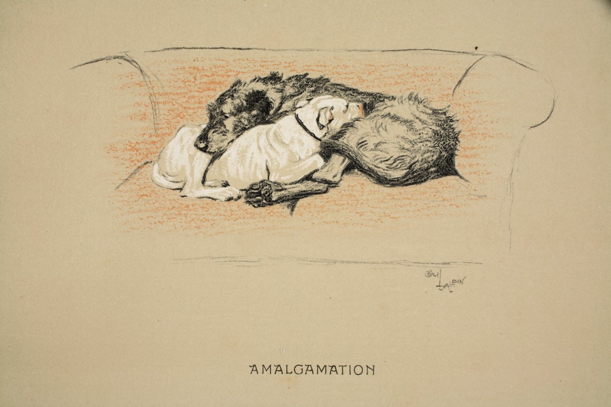 الاندماج ، 1930 ، الإصدار الأول من "Sleeping Partners" ، Aldin ، Cecil Charles Windsor (1870-1935) ، نشرته شركة Eyre and Spottiswoode Limited ، Chalk and Charcoal على ورق بواسطة سيسيل تشارلز وندسور الدين