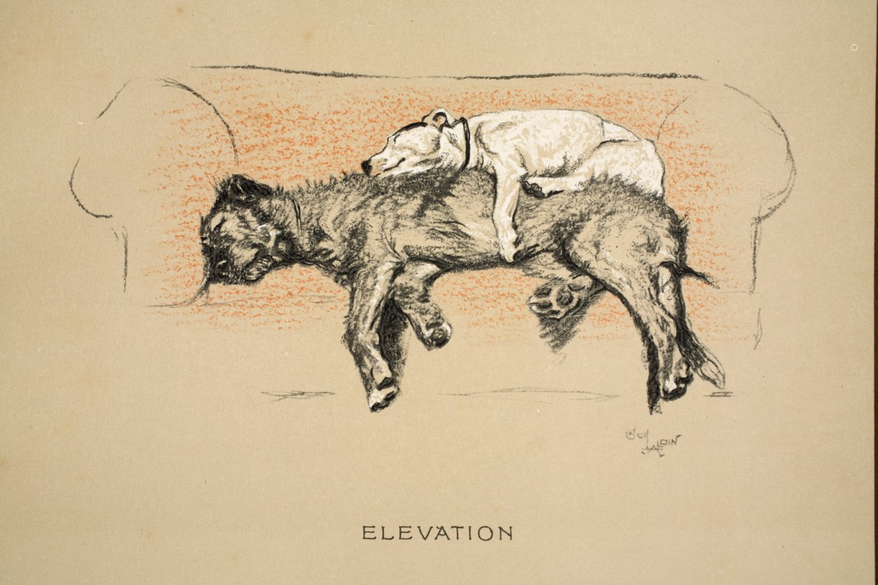 Elevation ، 1930 ، الإصدار الأول من "Sleeping Partners" ، Aldin ، Cecil Charles Windsor (1870-1935) ، نشرته Eyre and Spottiswoode Limited ، Chalk and Charcoal على ورق بواسطة سيسيل تشارلز وندسور الدين