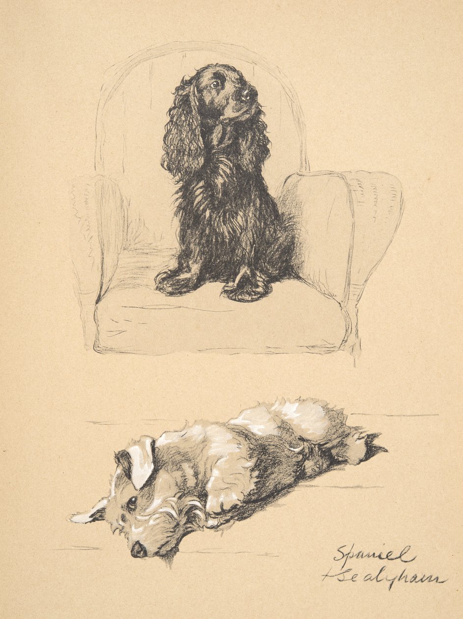 Spaniel and Sealyham ، 1930 ، رسوم توضيحية من كتابه التخطيطي المستخدم لـ "فقط بين الأصدقاء" ، Aldin ، Cecil Charles Windsor (1870-1935) ، تم نشره لاحقًا بواسطة Eyre and Spottiswoode Limited ، 1934 ، Chalk an بواسطة سيسيل تشارلز وندسور الدين