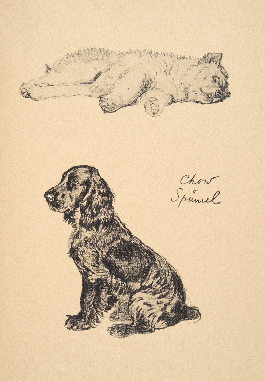 Chow and Spaniel ، 1930 ، رسوم توضيحية من كتابه التخطيطي المستخدم لـ "فقط بين الأصدقاء" ، Aldin ، Cecil Charles Windsor (1870-1935) ، تم نشره لاحقًا بواسطة Eyre and Spottiswoode Limited ، 1934 ، Chalk and Ch بواسطة سيسيل تشارلز وندسور الدين