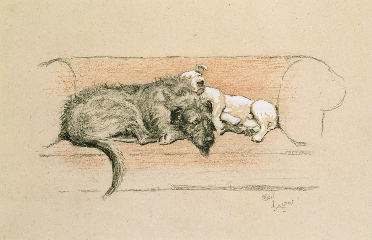 Wolfhound and Bull Terrier Asleep on a Sofa (pastel on paper) بواسطة سيسيل تشارلز وندسور الدين