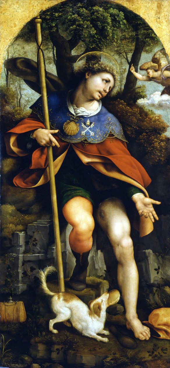 سان روكو (سانت روش). رسم سيزار دا سيستو (1477-1523). ميلانو ، متحف القلعة. بواسطة سيزار دا سيستو