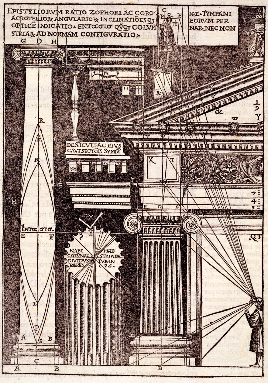 أمثلة على النسب الكلاسيكية ، من هندسة Vitruvius Pollio Di Lucio للكتب العشرة بقلم Gotardus Ponte Presley ، 1521 بواسطة Cesare di Lorenzo Cesariano