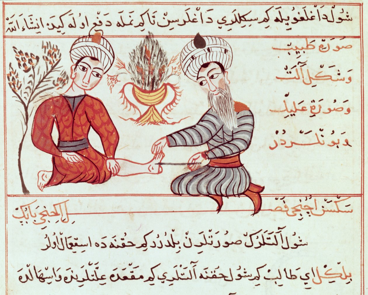 Ms Sup Turc 693 fol.125 معالجة الدمامل والثآليل ، 1466 بواسطة شرف الدين