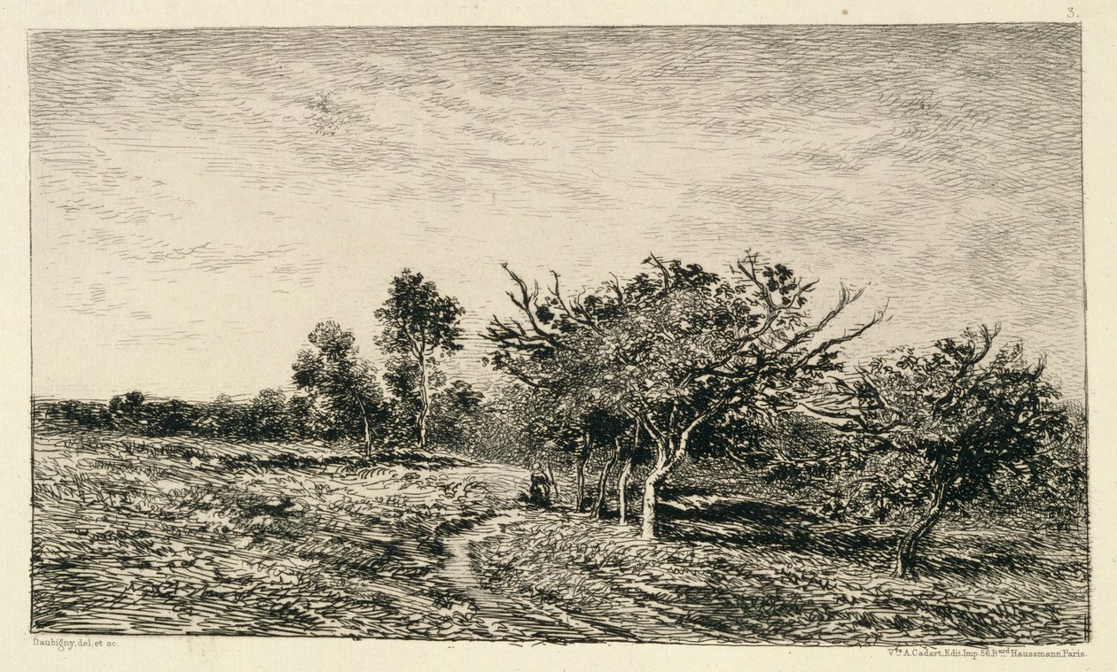 أشجار التفاح في Auvers (Pommiers a Auvers) ، 1877 بواسطة تشارلز فرانسوا داوبيني
