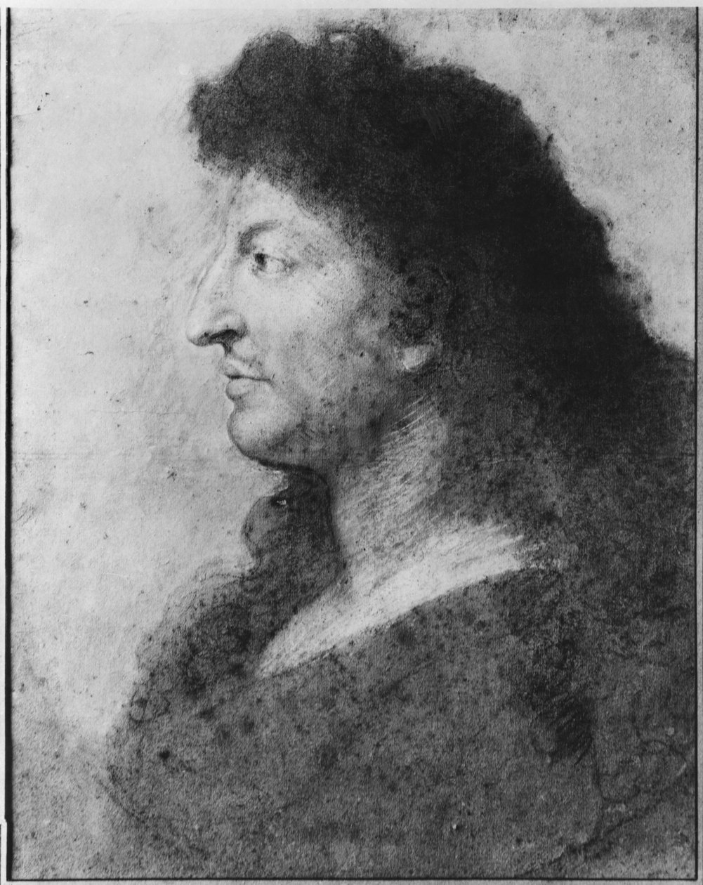 صورة لويس الرابع عشر في ملف تعريف ، مع رقبة عارية وشعر طويل ، c.1678 (باستيل ونير بيير على ورق بيج رمادي) (انظر أيضًا 177108) بواسطة تشارلز لو برون