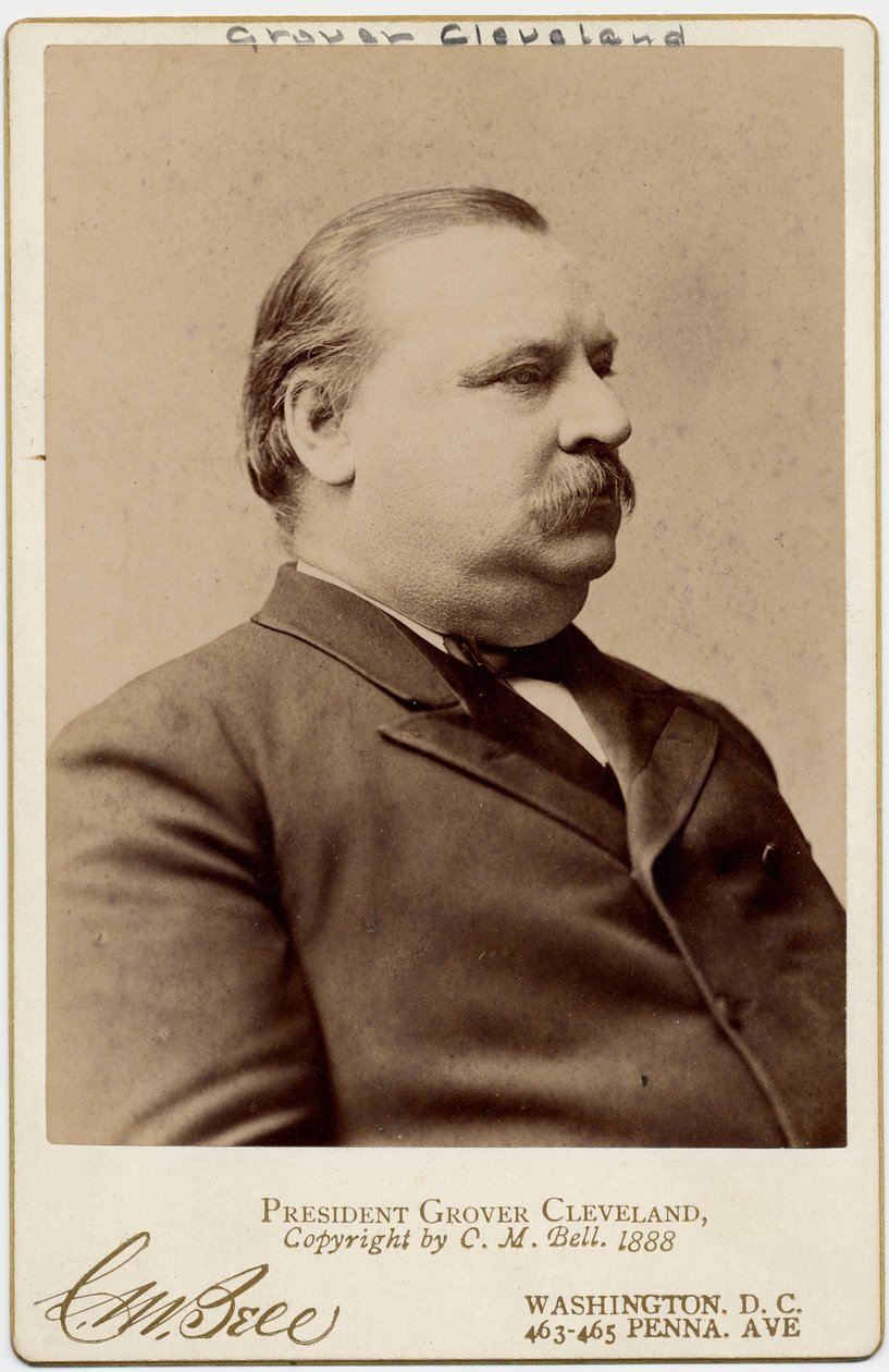 ستيفن غروفر كليفلاند (1837-1908) ، الرئيس الثاني والعشرون والرابع والعشرون للولايات المتحدة الأمريكية (صورة زخرفية) بواسطة تشارلز ميلتون بيل
