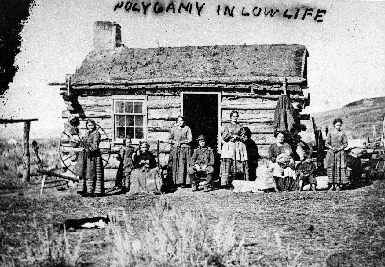 تعدد الزوجات في الحياة المنخفضة ، 1860s بواسطة تشارلز روسكو سافاج