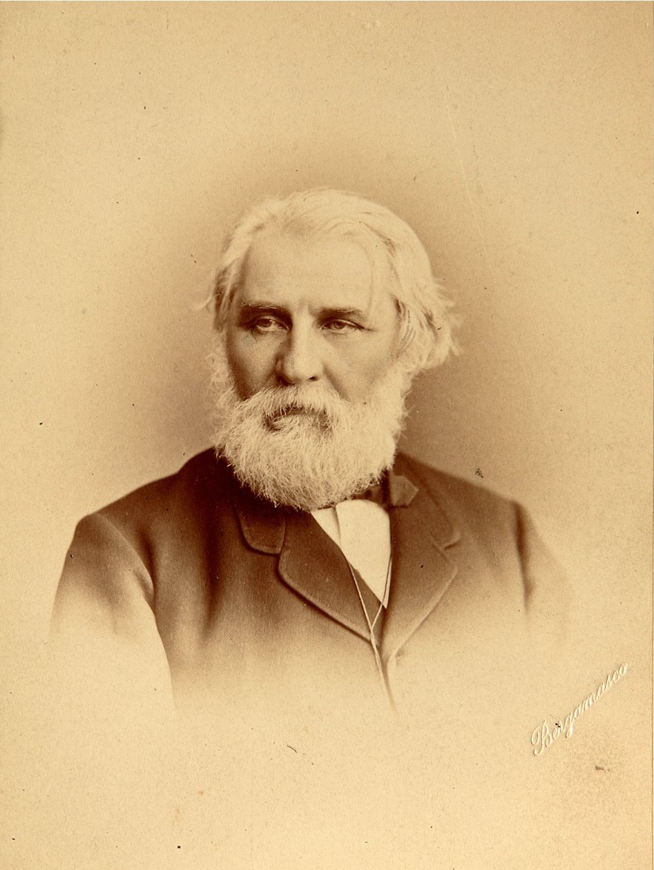صورة للمؤلف إيفان سيرجيفيتش تورجينيف (سيرجيفيتش تورغينييف) (1818-1883). صورة الألبومين لتشارلز (كارل) برغاماسكو (1830-1896) بواسطة تشارلز برجاماسكو