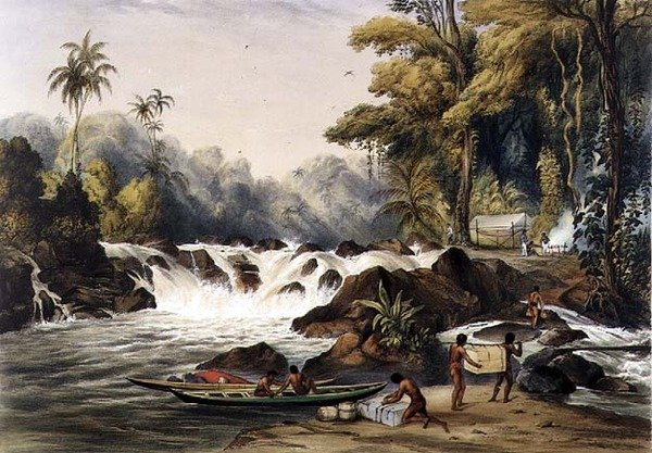 شلال عيد الميلاد على نهر بيربيس ، من "مناظر داخل غويانا" ، نقش بواسطة حانة بول جوتشي (1834-1867). بواسطة أكرمان بواسطة تشارلز (بعد) بنتلي