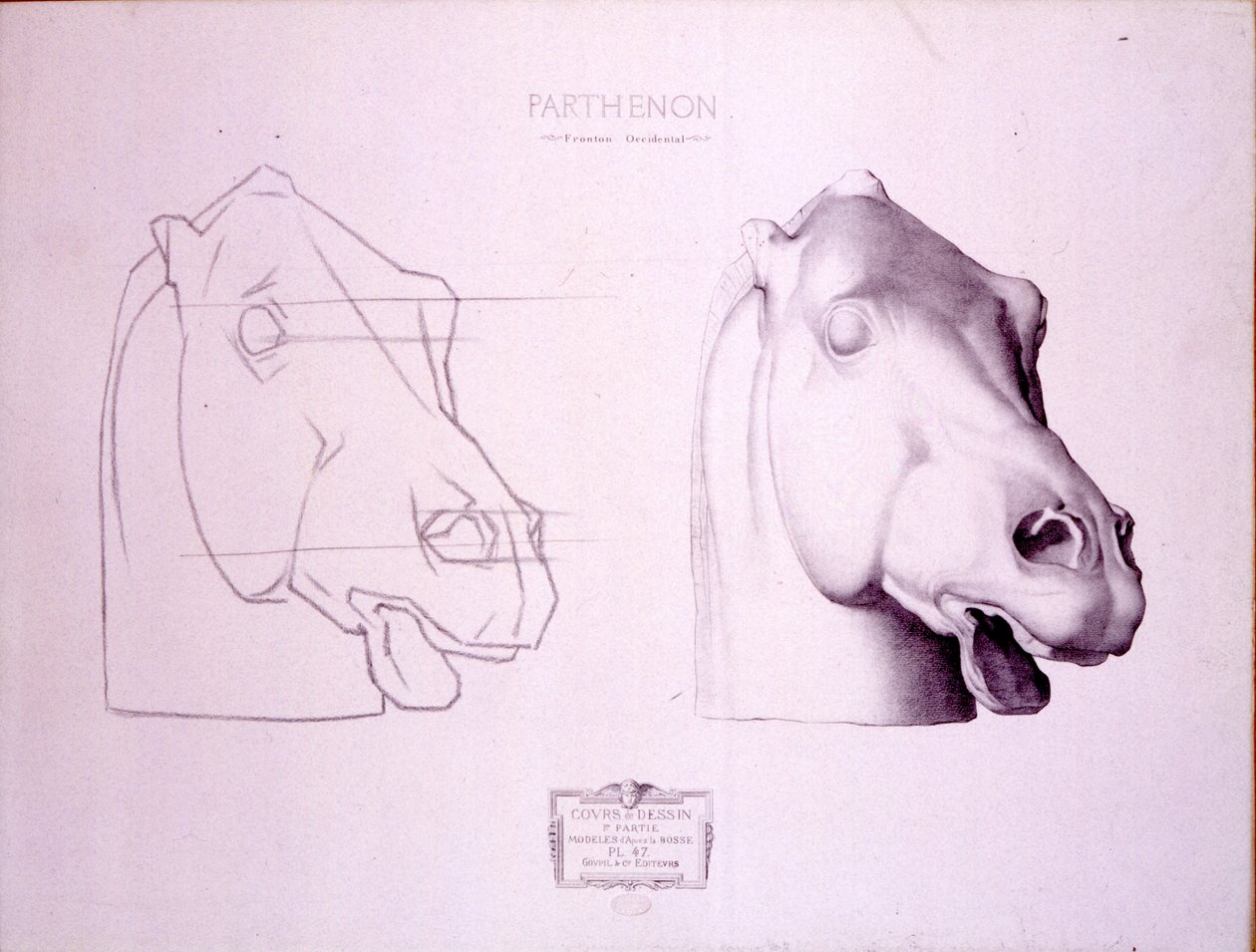 رأس الحصان من West Pediment of Parthenon ، اللوحة 47 من Cours de Dessin ، c.1898 بواسطة تشارلز بارج