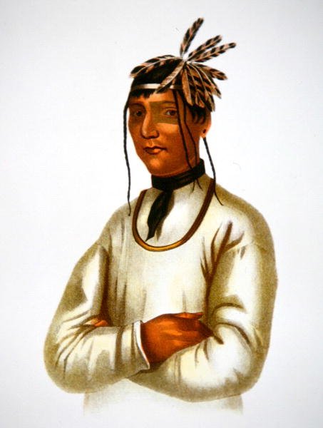 Caatousee من قبيلة Chippewa (لون ليثو) بواسطة تشارلز بيرد كينج
