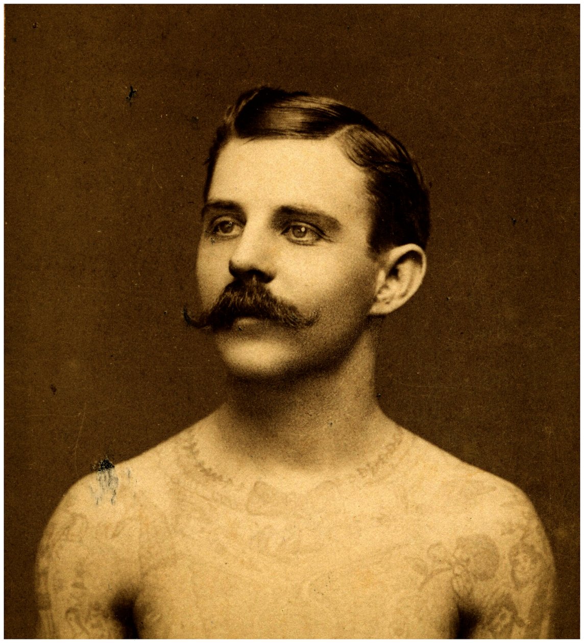 فرانك هوارد الرجل الموشوم ، 1900 (بطاقة مجلس الوزراء) بواسطة تشارلز ايزنمان