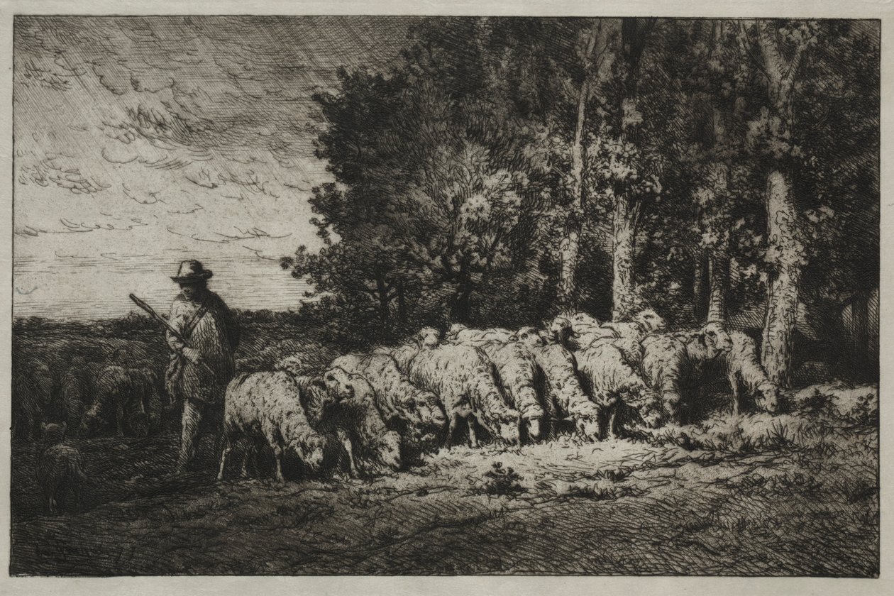 قطيع على حافة غابة ، 1880. بواسطة تشارلز إميل جاك