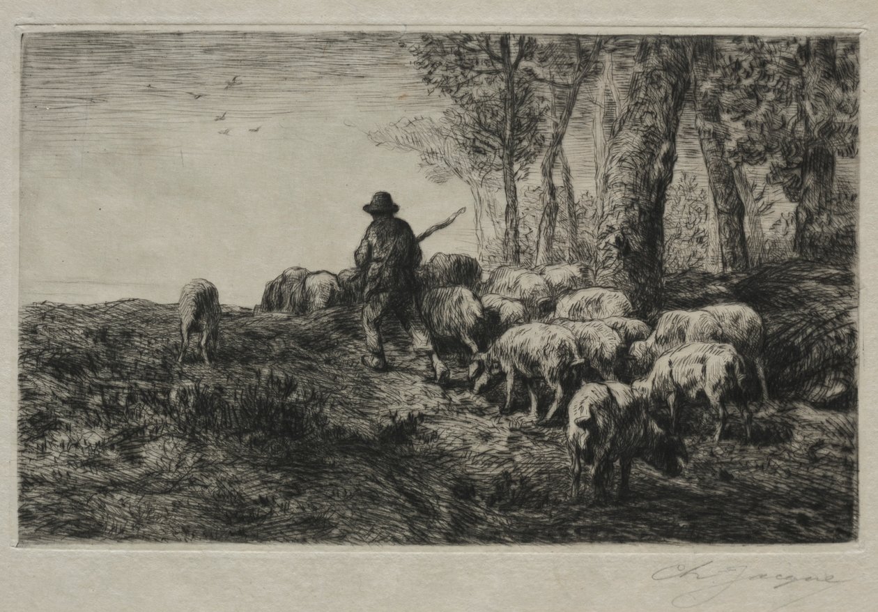 قطيع من الخنازير 1880. بواسطة تشارلز إميل جاك