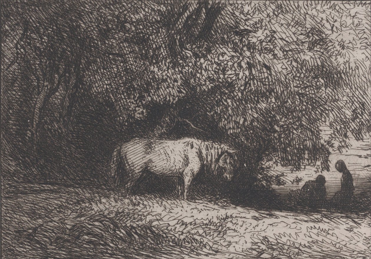 حصان تحت غصن شجرة ، 1846. بواسطة تشارلز إميل جاك