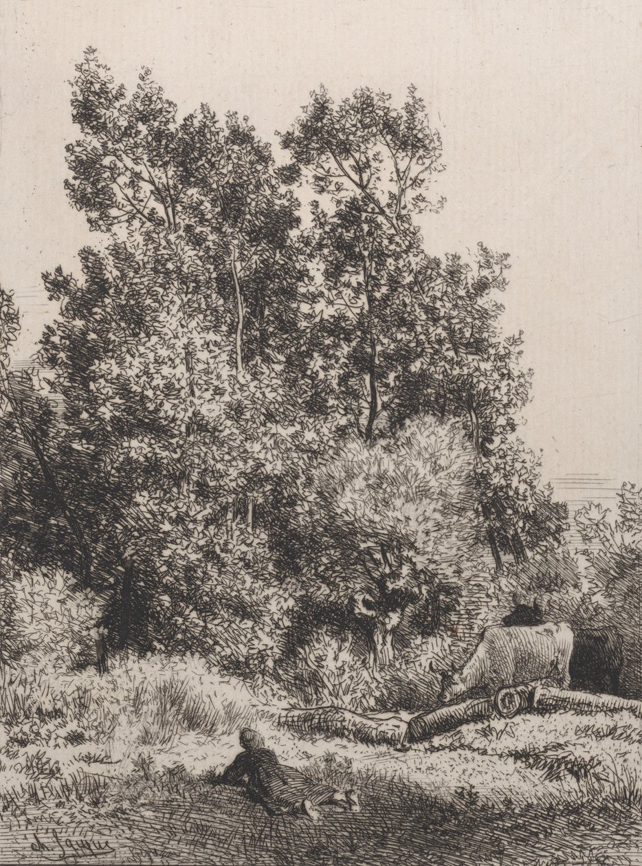 المناظر الطبيعية ، 1864. بواسطة تشارلز إميل جاك