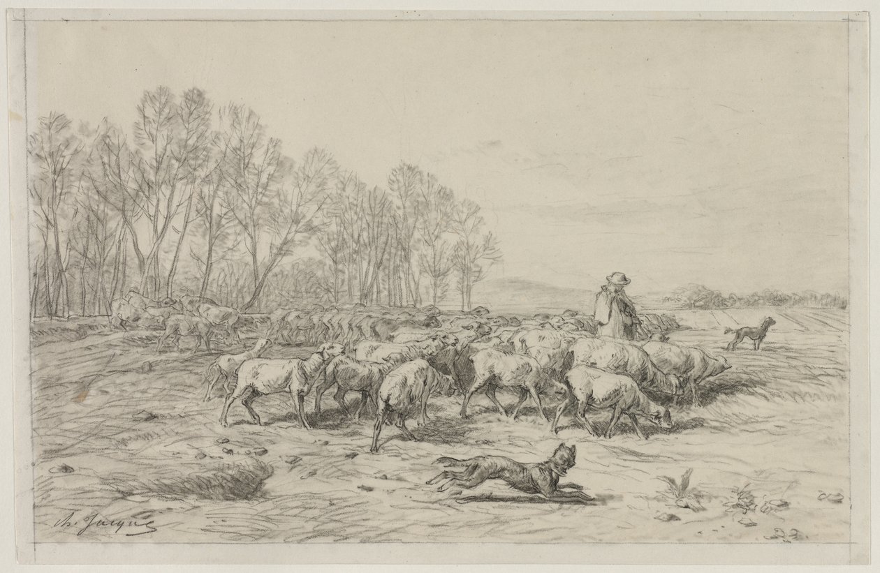 المناظر الطبيعية مع قطيع من الأغنام ، 1800s. بواسطة تشارلز إميل جاك