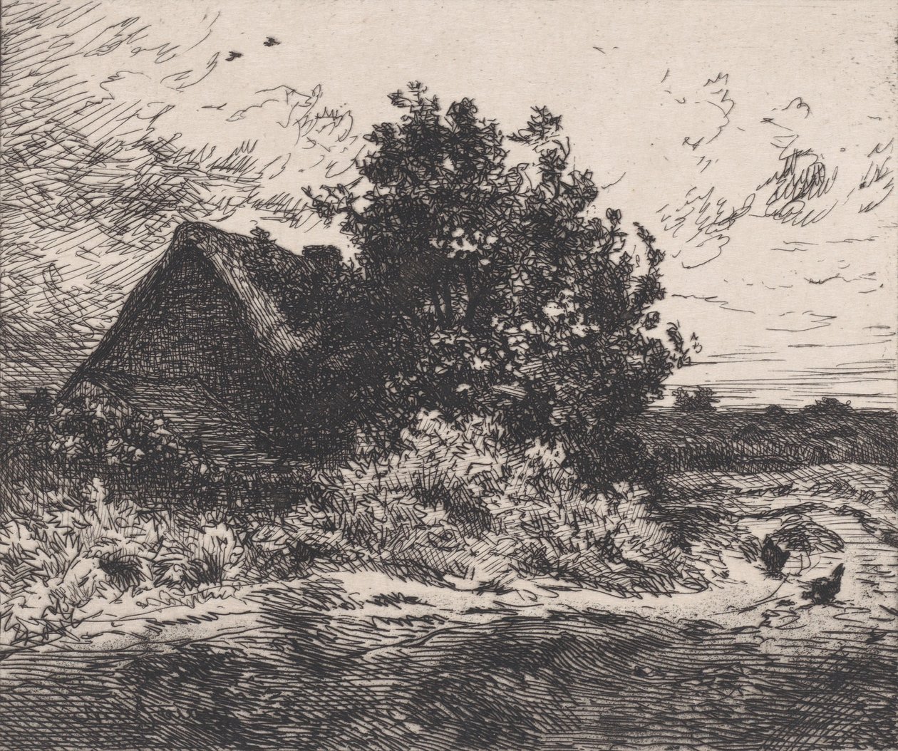 The Kercassier Bush ، كاليفورنيا. 1875-80. بواسطة تشارلز إميل جاك