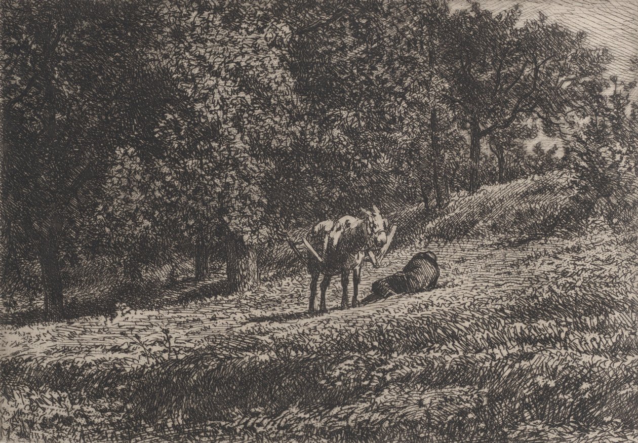 أورشارد ، 1865. بواسطة تشارلز إميل جاك