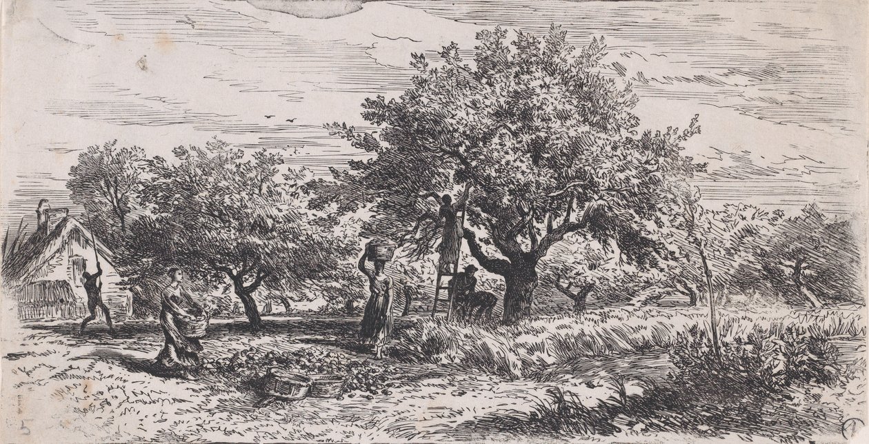 قطف الفاكهة من شجرة خارج الكوخ ، كاليفورنيا. 1852. بواسطة تشارلز إميل جاك