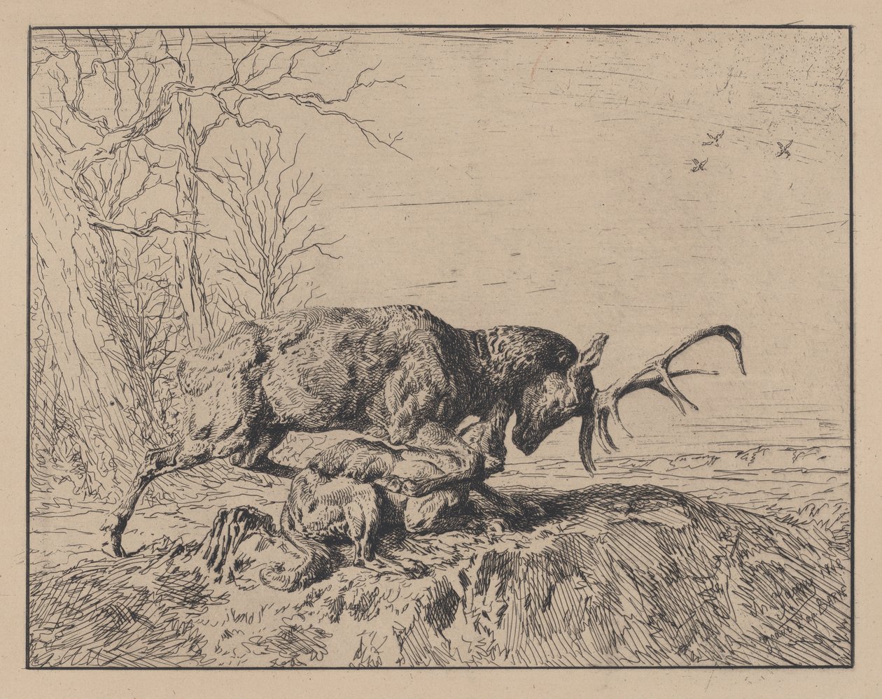 Stag Fighting a Wolf ، بعد أنطوان لويس باري 1846. بواسطة تشارلز إميل جاك