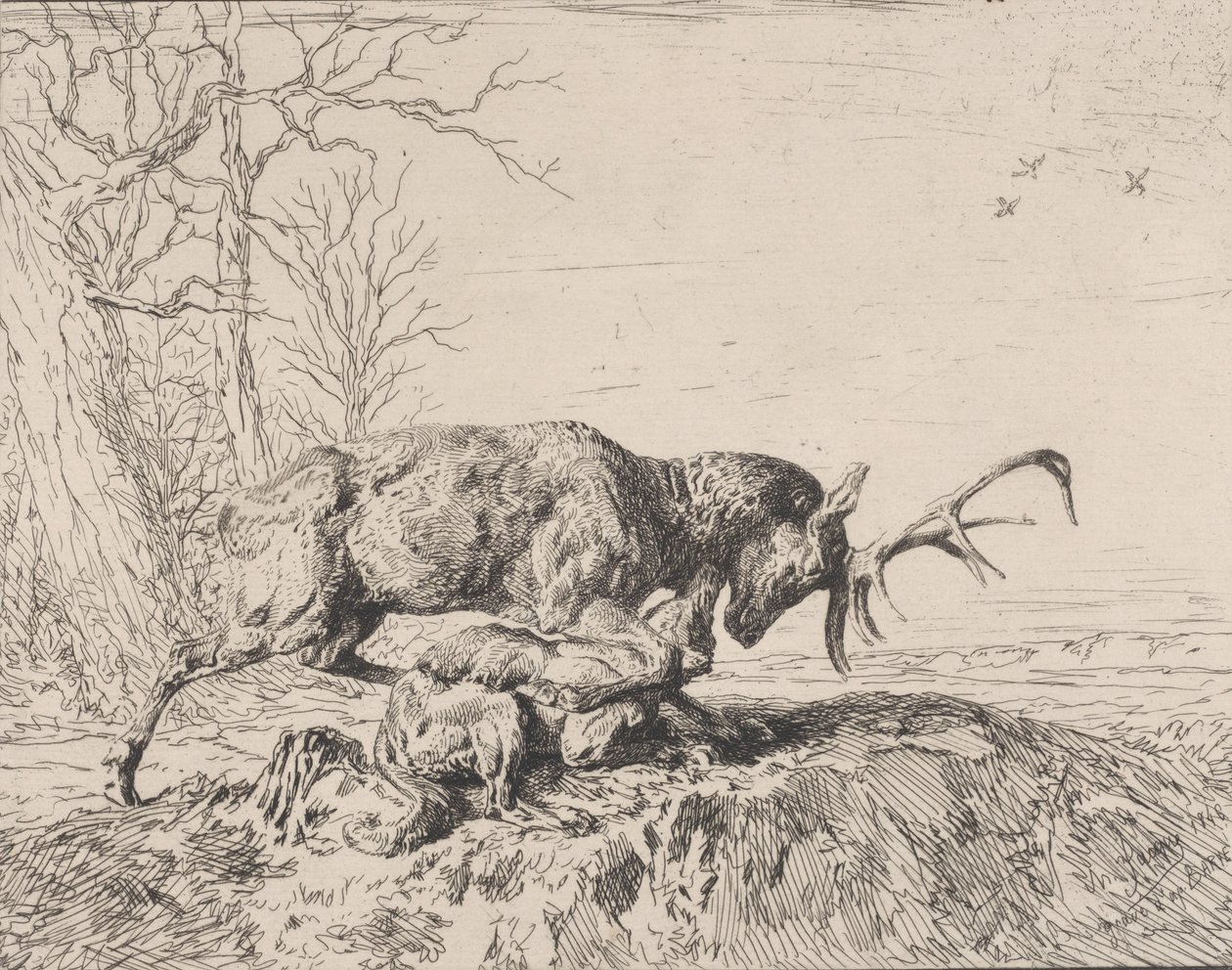 Stag Fighting a Wolf ، بعد أنطوان لويس باري 1846. بواسطة تشارلز إميل جاك