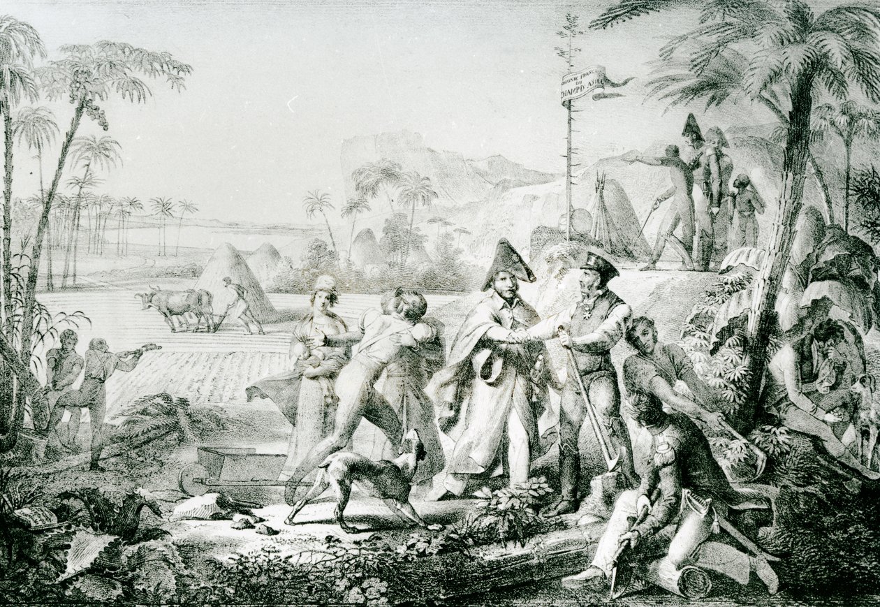 فقط baytrees ستنمو بدون زراعة ، توضيح للجنرال Lallemand (1774-1839) في Champ dAsile ، 1819 ، بعد Rullmann بواسطة تشارلز إتيان بيير موت