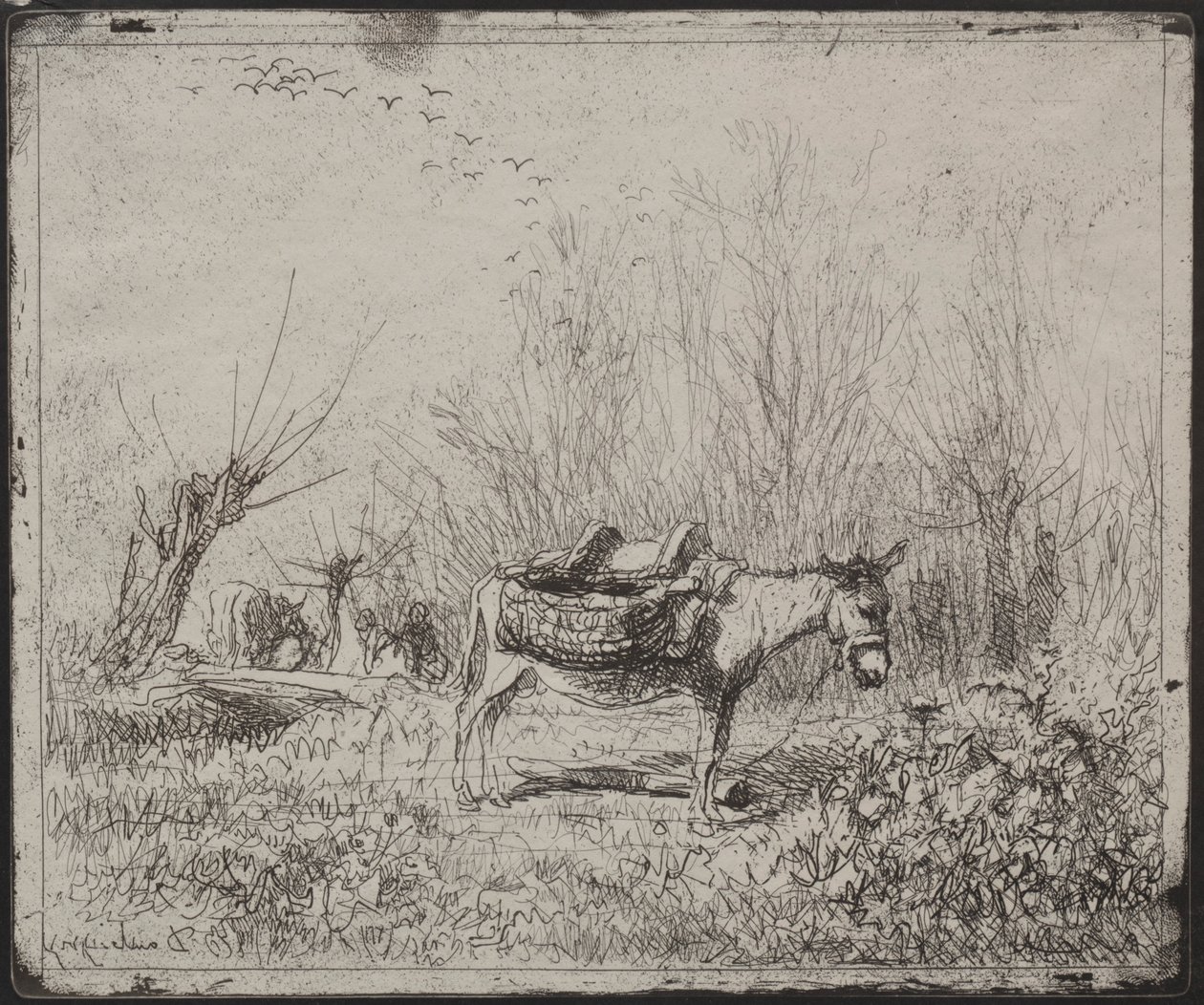حمار في الميدان ، الانطباع الأصلي 1862 ، طبع في عام 1921. بواسطة تشارلز فرانسوا داوبيني