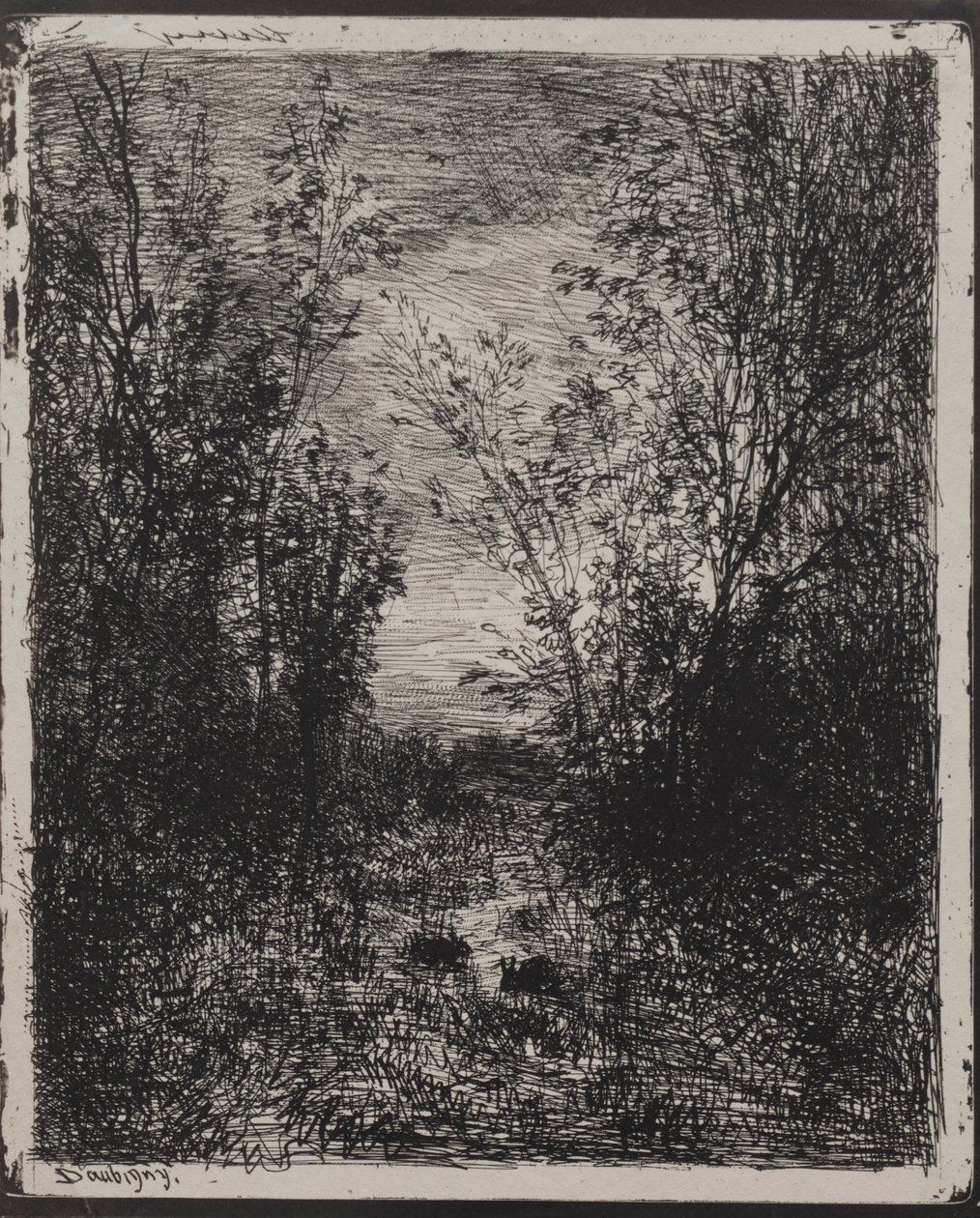 A Stream in a Glade ، الانطباع الأصلي 1862 ، طبع في عام 1921. بواسطة تشارلز فرانسوا داوبيني