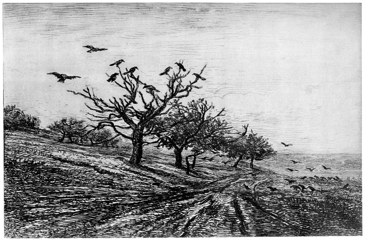 شجرة الغراب ، 1840-1875 ، 1924 بواسطة تشارلز فرانسوا داوبيني