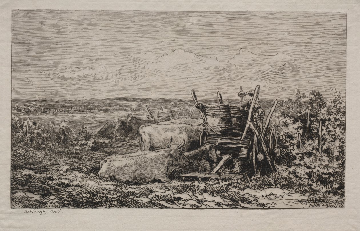 حصاد العنب ، 1865. بواسطة تشارلز فرانسوا داوبيني