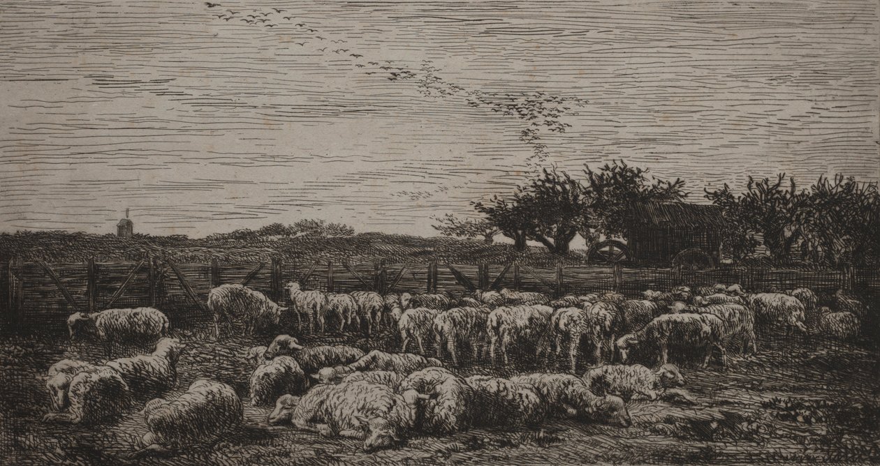 الأغنام الكبيرة ، 1860. بواسطة تشارلز فرانسوا داوبيني