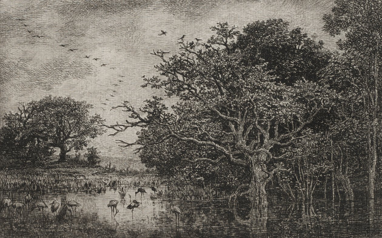 الاهوار مع اللقالق ، ج. 1851. بواسطة تشارلز فرانسوا داوبيني