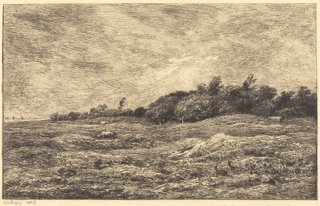 The Meadow at Grave ، بالقرب من Villerville (Le Pre des Graves ، a Villerville) بواسطة تشارلز فرانسوا داوبيني