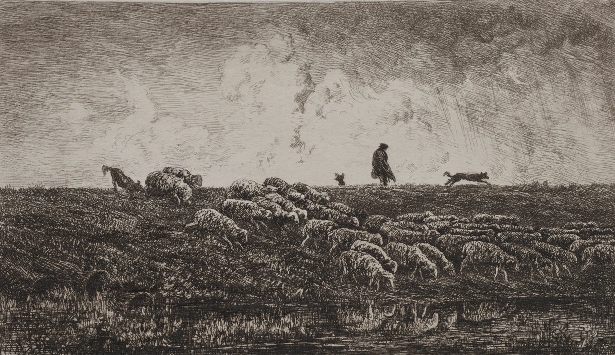 الدش ، ج. 1851. بواسطة تشارلز فرانسوا داوبيني