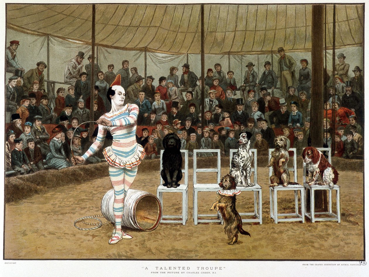 الكلاب المتعلمة: مشهد سيرك مع مهرج وكلاب - بعد تشارلز جرين ، كرومو الإنجليزي 1885. الكلاب المتعلمة: مشهد سيرك مع مهرج وكلاب - بعد تشارلز جرين ، كرومو الإنجليزية 1885. ¿ بواسطة تشارلز جرين