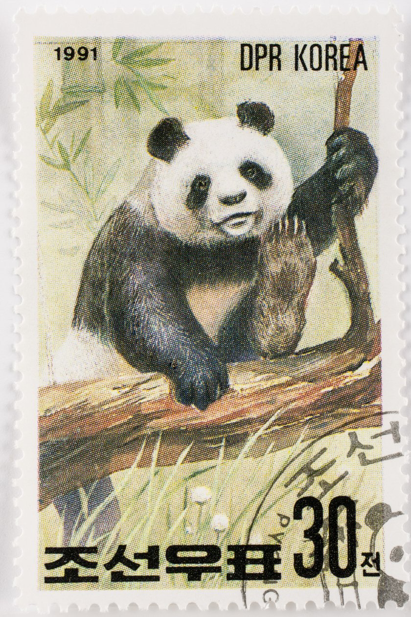 طابع / كوريا الشمالية / Ailuropoda melanoleuca / Grand panda / Giant Panda بواسطة تشارلز هنري جوزيف ليكيرت