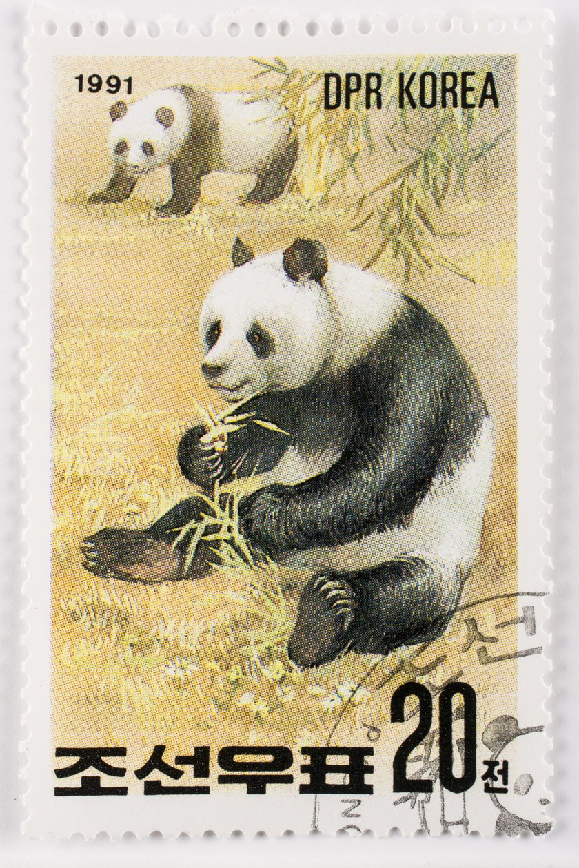طابع / كوريا الشمالية / Ailuropoda melanoleuca / Grand panda / Giant Panda بواسطة تشارلز هنري جوزيف ليكيرت