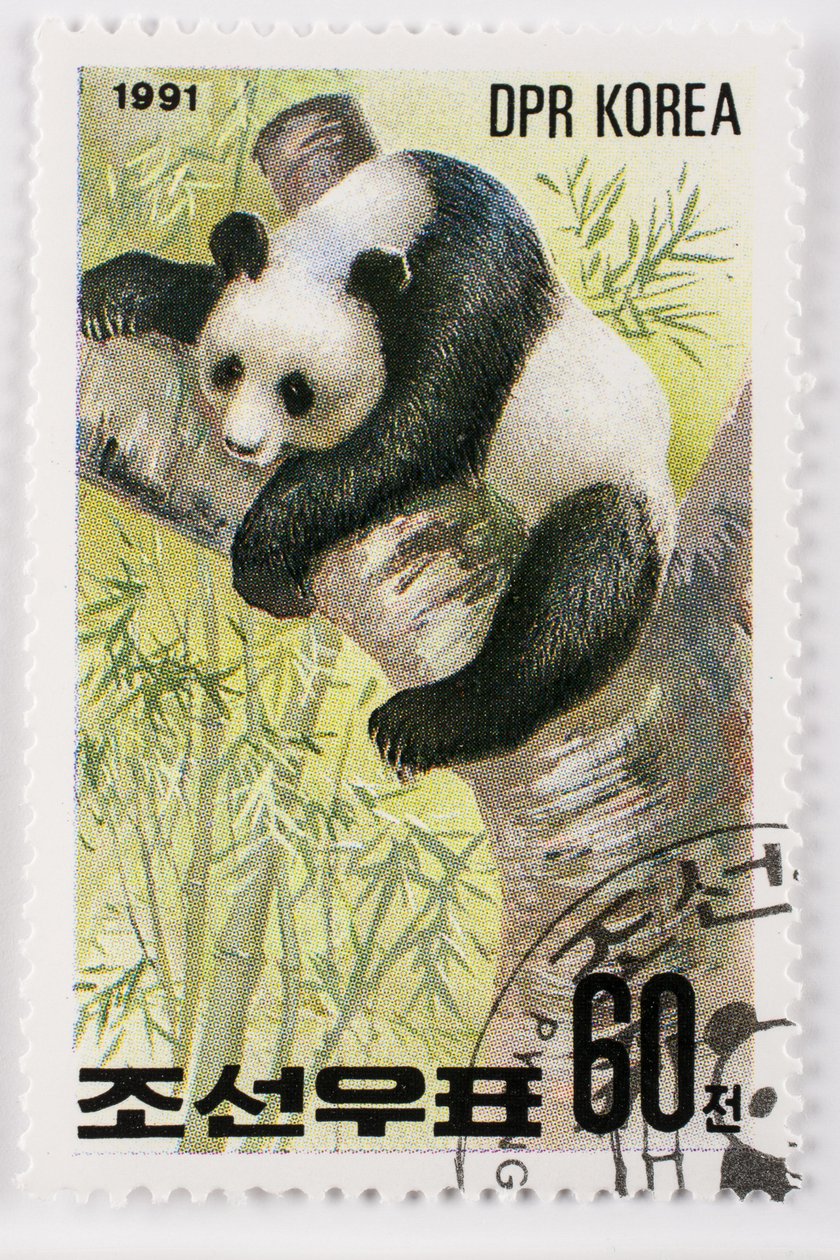 طابع / كوريا الشمالية / Ailuropoda melanoleuca / Grand panda / Giant Panda بواسطة تشارلز هنري جوزيف ليكيرت