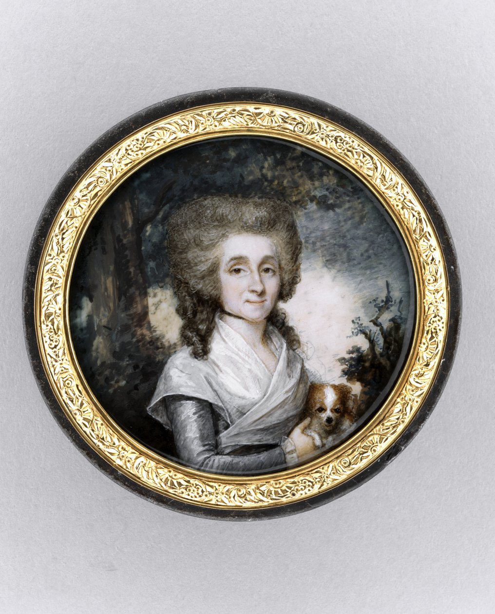 Box with Portrait of a Woman, c.1785 (watercolor on ivory, gilt, tortoiseshell & glass) بواسطة تشارلز هنارد