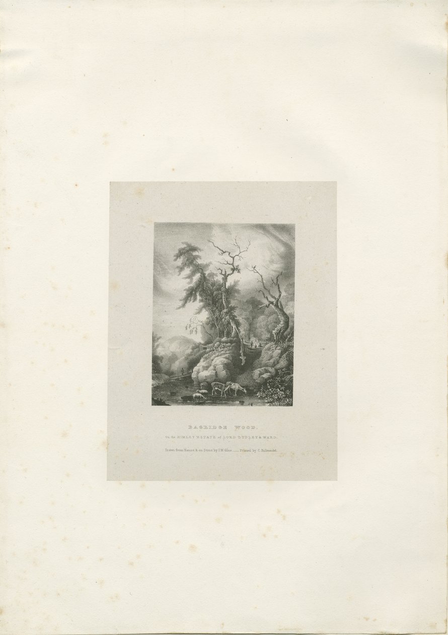 عزبة هيملي - "Bagridge Wood": الطباعة الحجرية ، [1789-1850] (مطبوعة) بواسطة تشارلز جوزيف هولمانديل