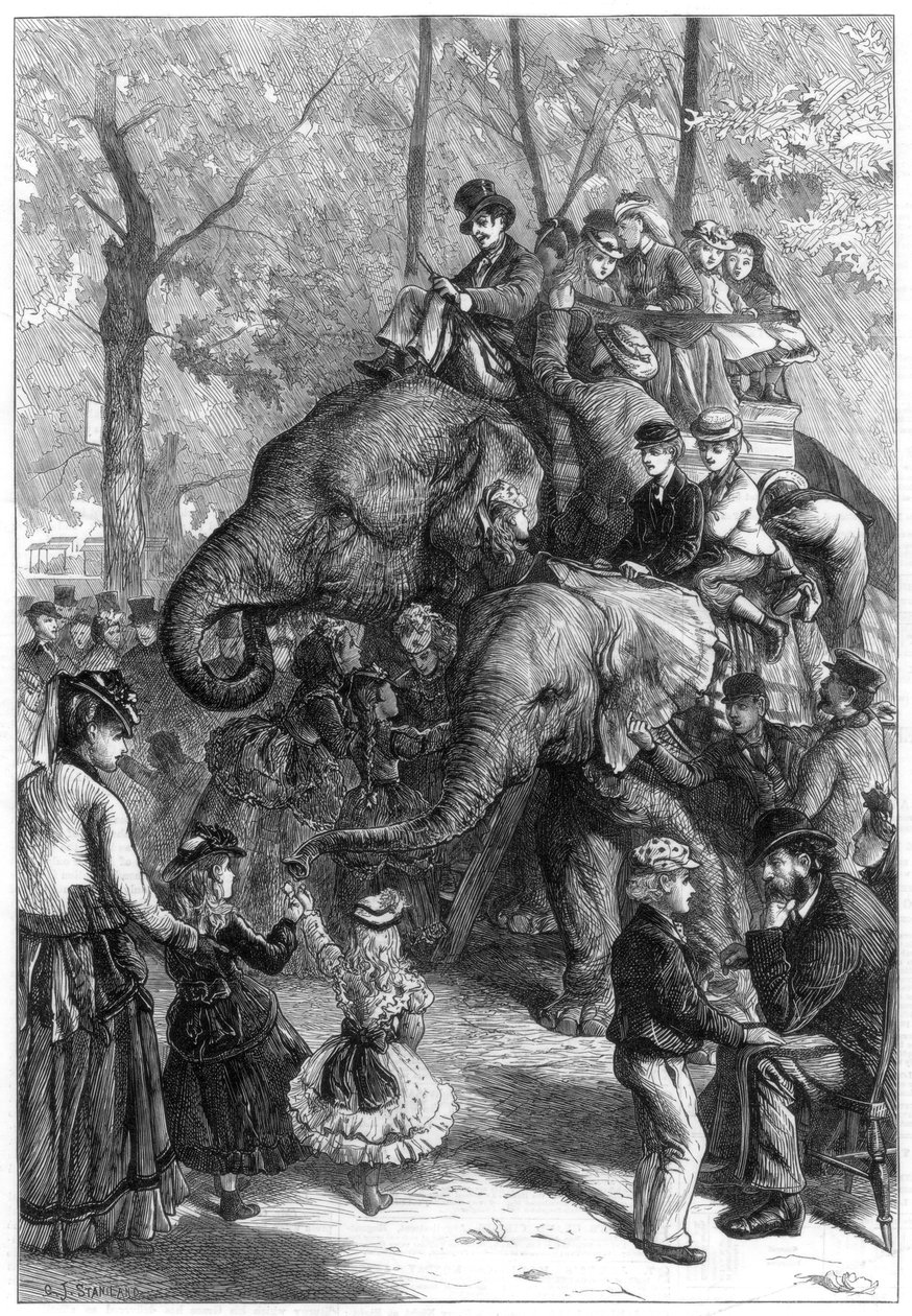 بعد ظهر يوم الإثنين في حدائق مجتمع الحيوان ، 1871. بواسطة تشارلز جوزيف ستانيلاند