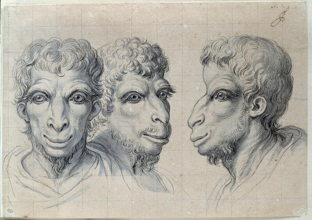 دراسات لثلاثة رؤوس رجال يذكرون علم وظائف الأعضاء في الجمل رسم تشارلز ليبرون (لو برون) (1619-1690) في القرن السابع عشر. خافت. 0،22 × 0،32 م. باريس ، متحف اللوفر بواسطة تشارلز لو برون
