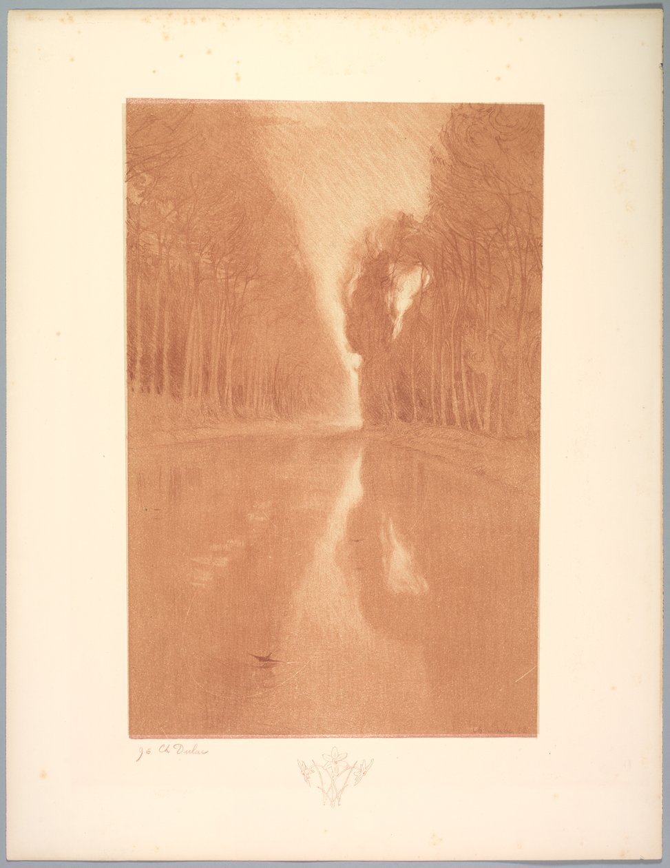 جناح المناظر الطبيعية: المناظر الطبيعية ، اللوحة 2 ، ملاحظة ، زهور النجوم ، 1892-1893. بواسطة تشارلز ماري دولاك