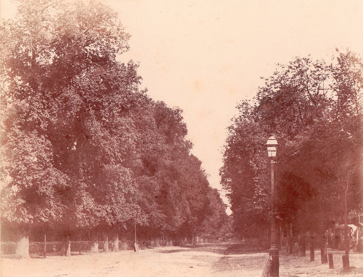 درب تصطف على جانبيه الأشجار ، 1850-1853. بواسطة تشارلز مارفيل