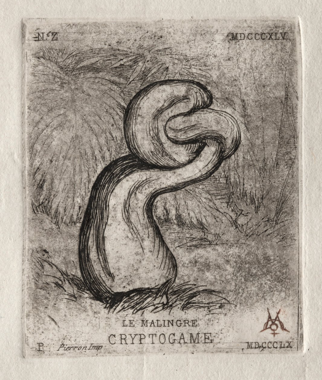 The Sickly Cryptogam ، 1860. بواسطة تشارلز ميريون