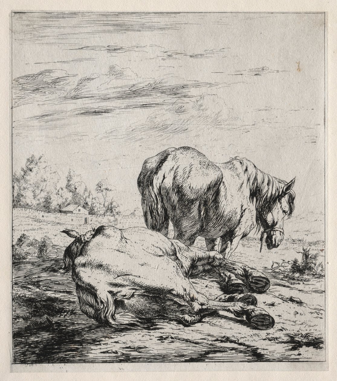 الحصانان ، 1850. بواسطة تشارلز ميريون